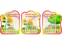 Комплект стендов "группа Подсолнушки" списки