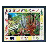 Магнитный плакат "Природное сообщество леса"