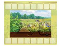 Магнитно-маркерный плакат "Луга" с набором магнитных карточек + методические рекомендации