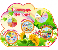 Стенд резной "Календарь природы" группа Подсолнушки