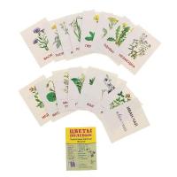 Карточки обучающие "Цветы полевые" 16шт, 6,3*8,7см.