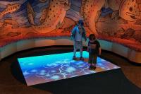 Интерактивный пол EYEPLAY Express