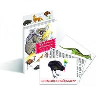 Дидактические карточки "Животные Австралии"
