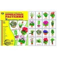 Дидактические карточки "Домашние растения"