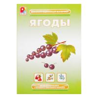 Демонстрационный материал "Ягоды"