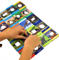 Игровой набор ЖИВОТНЫЙ И РАСТИТЕЛЬНЫЙ МИР ПОВОЛЖЬЯ ХДФ (по методике Сегена)